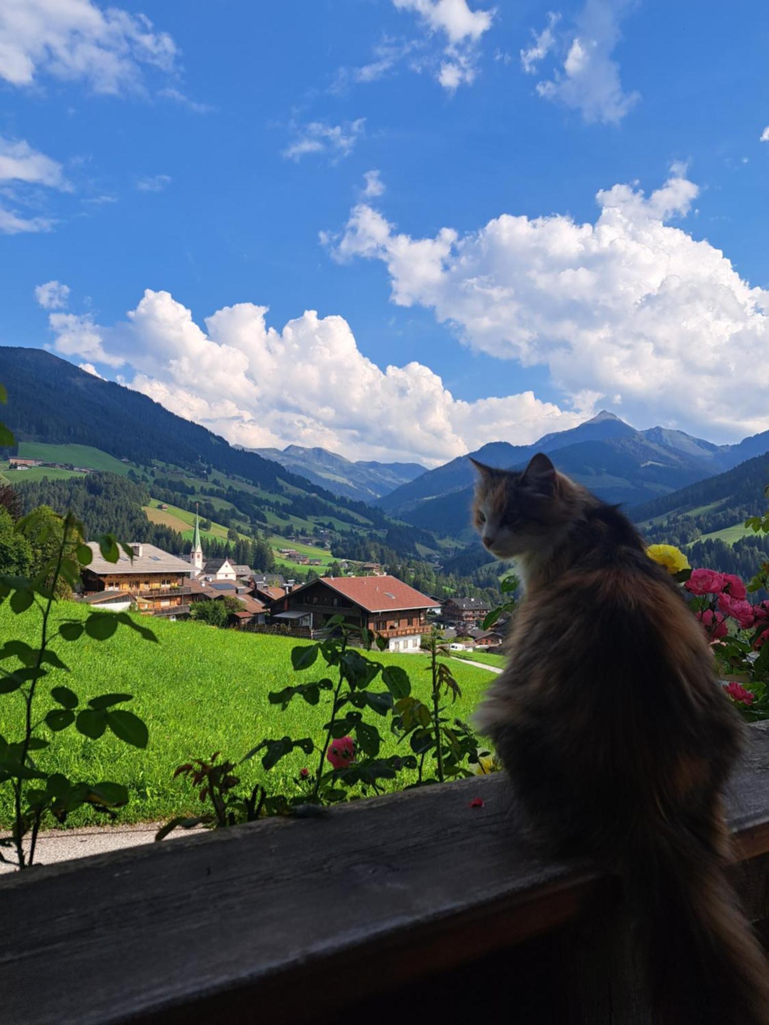 Appartamento Heachhof Alpbach Esterno foto