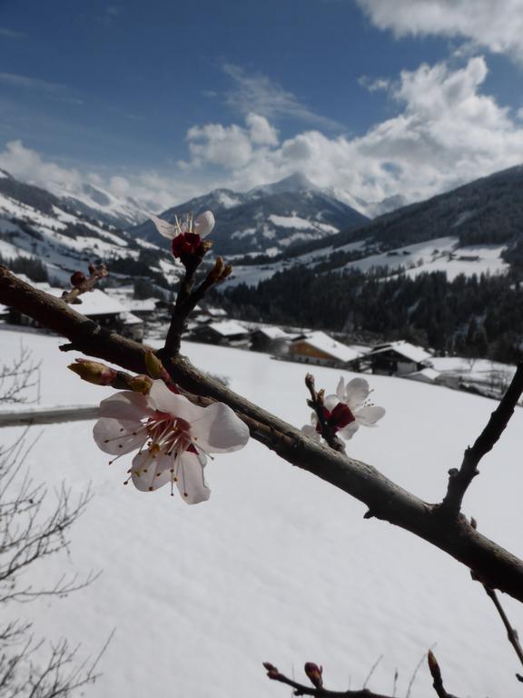 Appartamento Heachhof Alpbach Esterno foto