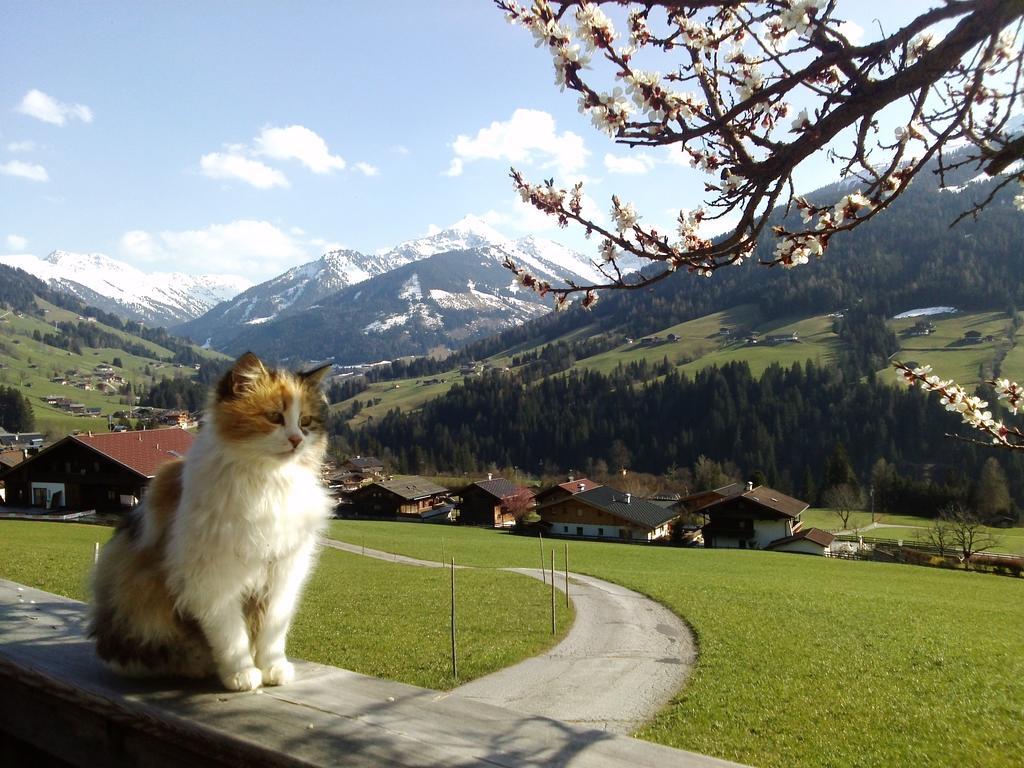 Appartamento Heachhof Alpbach Esterno foto